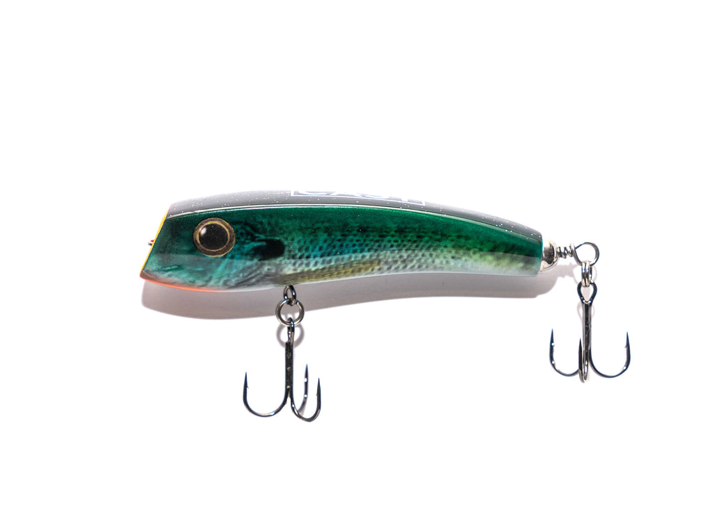 down under fishing lures CAST Down Under Diving Popper