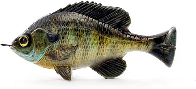 savage gear swimbait Savage Gear Pulse Tail Bluegill LB Swimbait – Bonafide Fishing