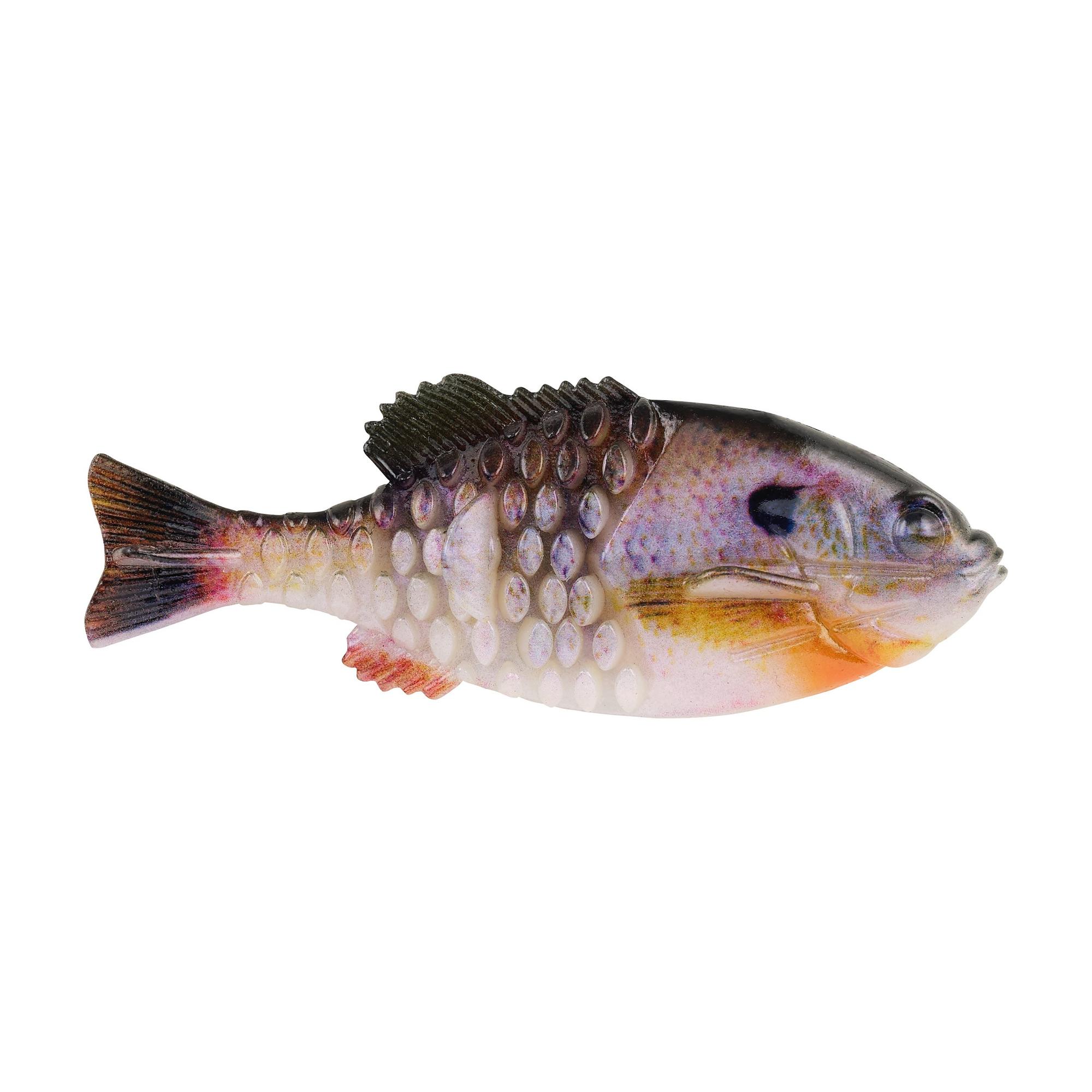 berkley fish Berkley PowerBait® Gilly