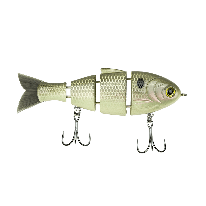 bull shad fishing lure Swimbait Bull Wake Idaho Rod And Reel There is no denying the big trout Bucca Brand Buzzing Baby Bull