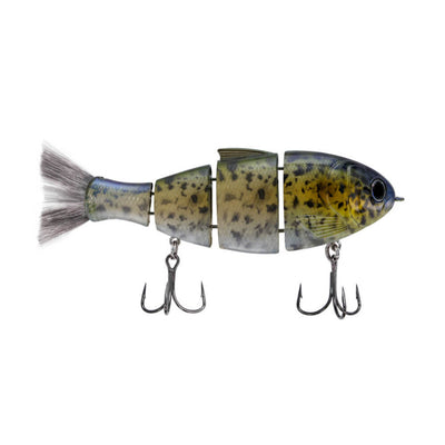 Bucca Bull Shad