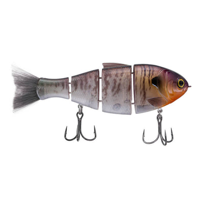 Bucca Bull Shad