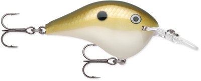 Rapala DT (Dives-To) Series Crankbait