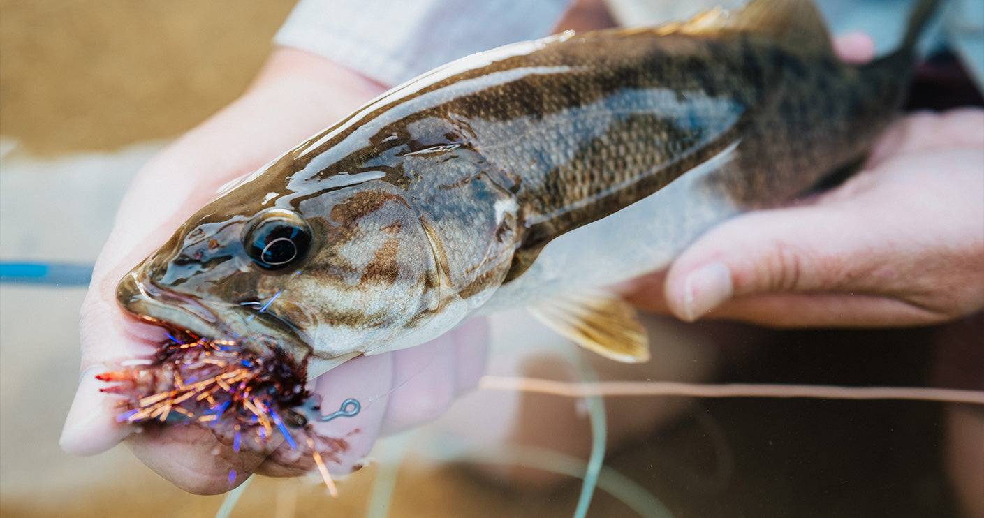 buffalo river fishing lures Nomad Design Jig - 320g The Streaker Jig is a high pitch jig designed to be worked faster Buffalo River Best Bait To