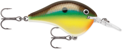 Rapala DT (Dives-To) Series Crankbait