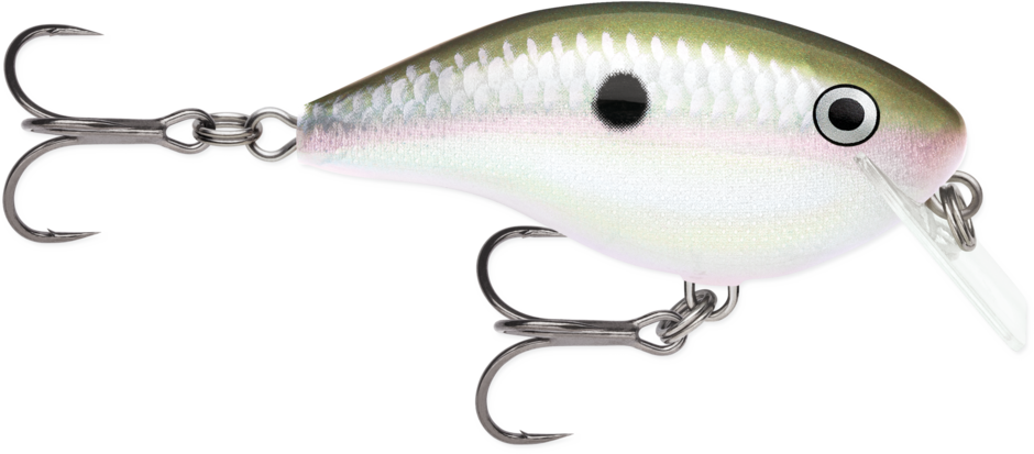 Rapala OG Big Rocco 6