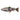 Savage Gear Line Thru Trout