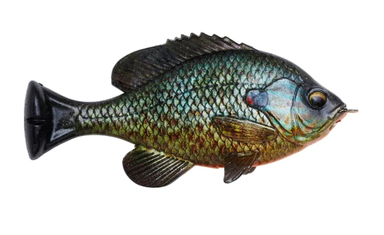 Savage Gear Pulse Tail Bluegill LB Swimbait