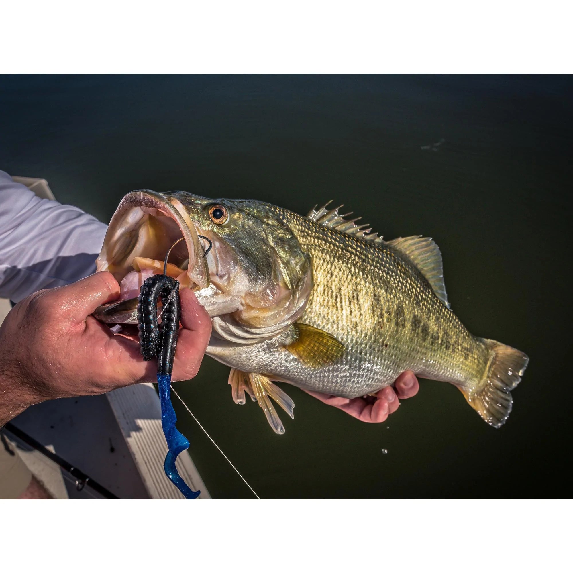 bass fishing lures powerbait Berkley PowerBait® Power Worms® – Bonafide Fishing