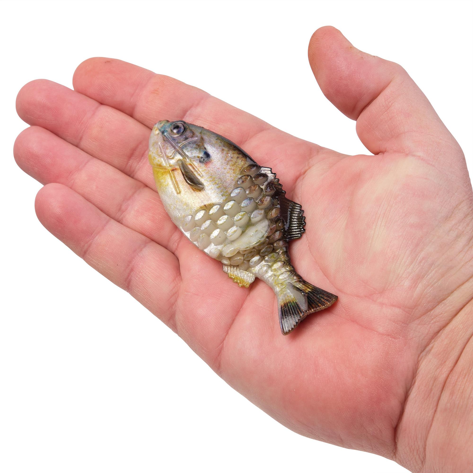 Berkley PowerBait® Gilly – Bonafide Fishing