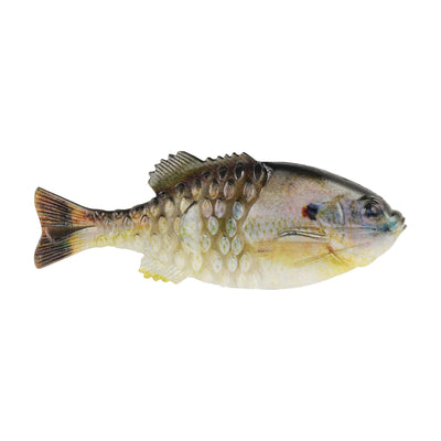 Berkley PowerBait® Gilly – Bonafide Fishing
