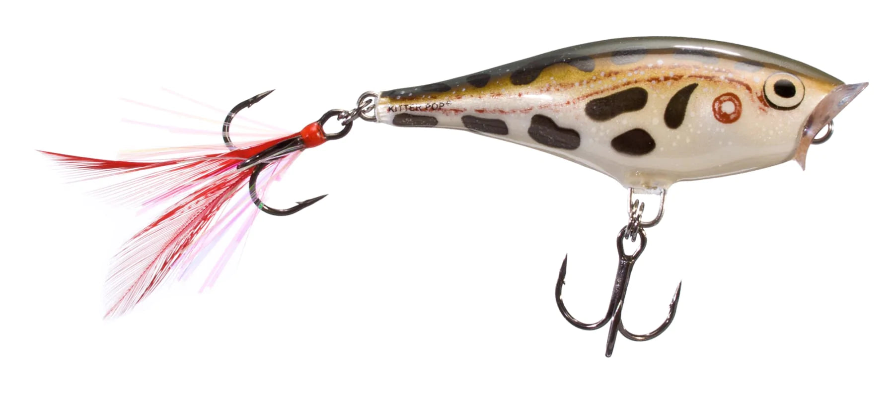 RAPALA SALWATER SKITTER POP SSP12 BC - Almacen de Camping RAPALA SALWATER SKITTER POP SSP12 BC - Almacen de Camping