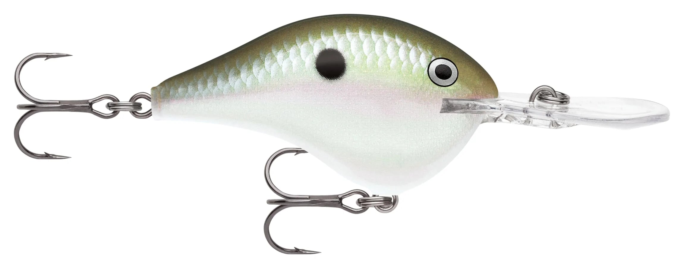 Rapala DT (Dives-To) Series Crankbait